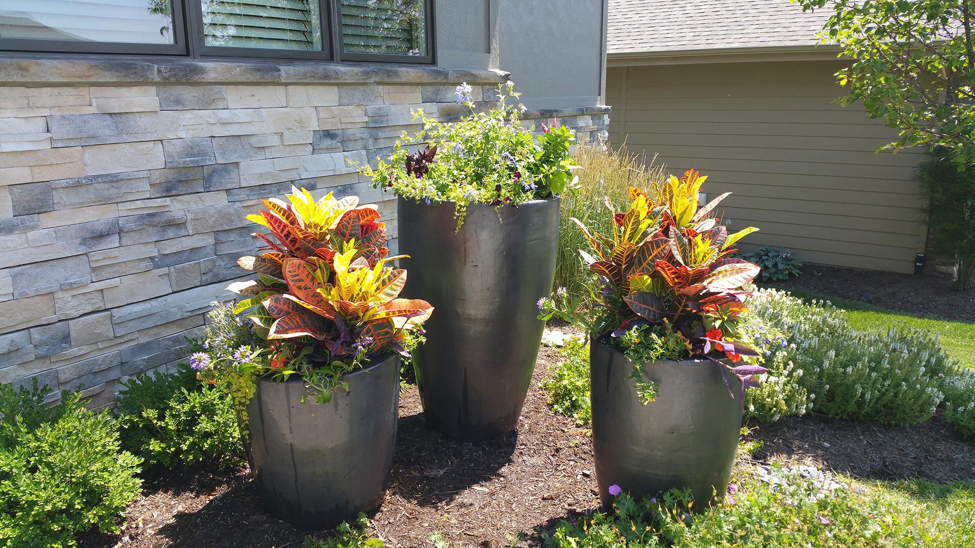 3 potted plants placed on a landscape bed in front of a home in Papillion, NE. 