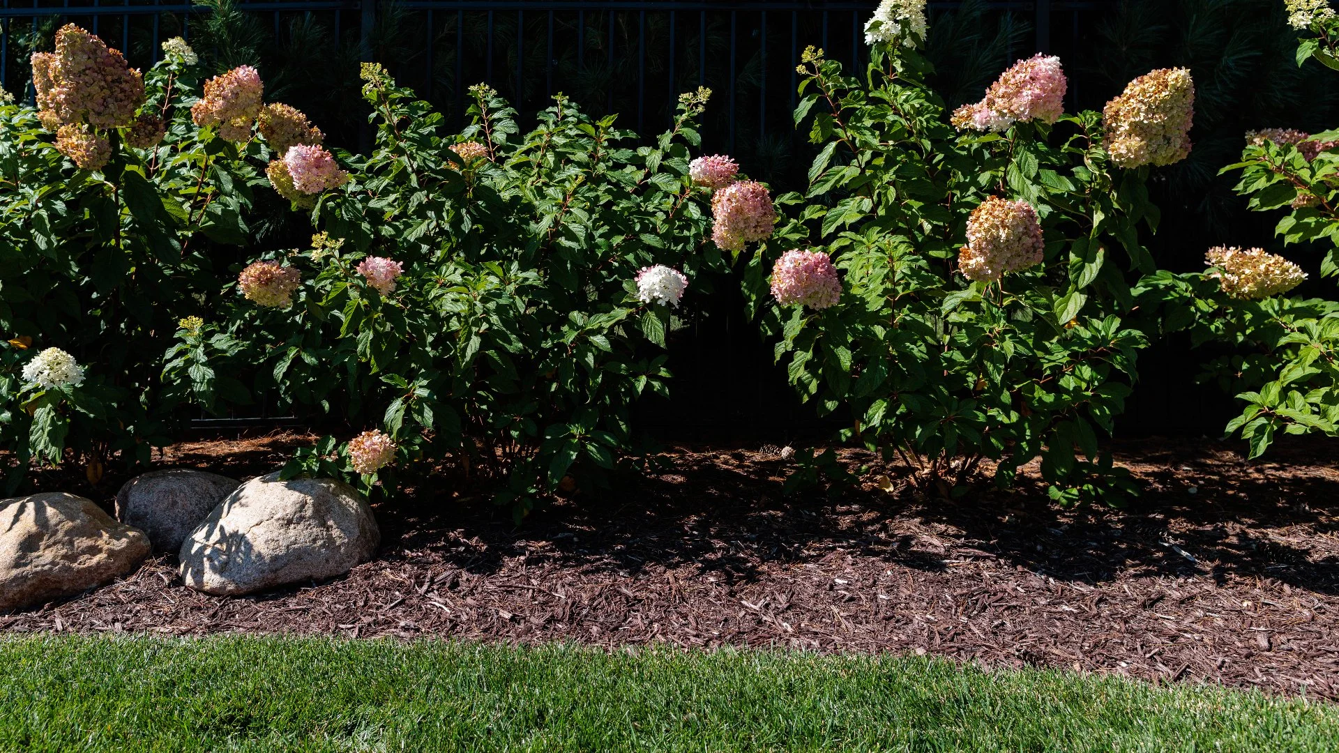 Your Landscape Beds Could Use These 4 Maintenance Tasks This Fall!