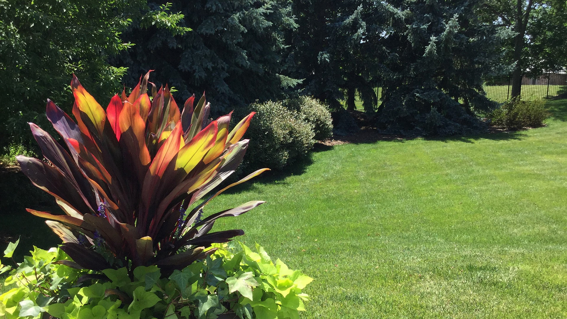 A red potted plant in front of a clean and well maintained yard behind a home in Ashland, NE. 