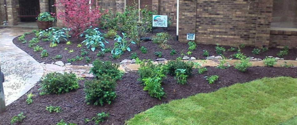 Outdoor landscape installation with plants and mulch near Elkhorn, Nebraska.