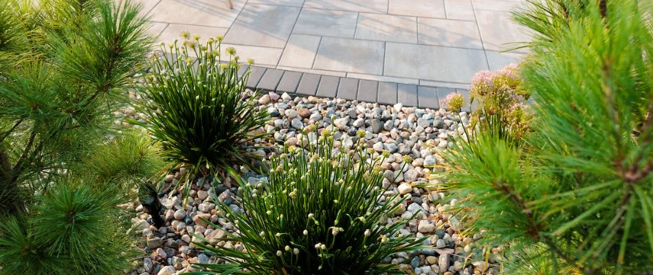 Elegant landscaping with patio and lush greenery in Omaha, NE.