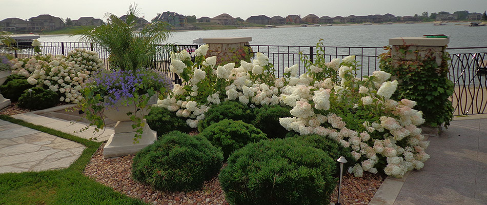 A waterfront landscape bed with bushes and white flowers behind a home in Elkhorn, NE. 