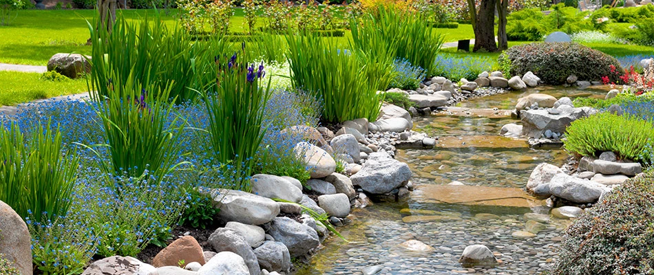A running river water garden surrounded by plants, stones, and flowers in La Vista, NE. 
