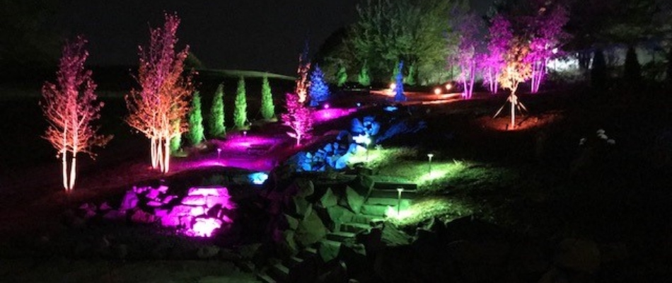 Colorful lights installed throughout landscaping in Ralston, NE.
