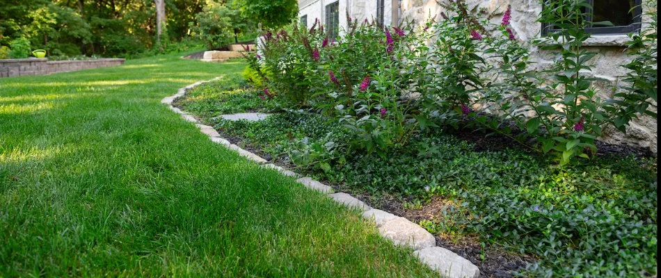 Vibrant garden landscape featuring flowering plants, a manicured lawn, and a stone border along the side of a house