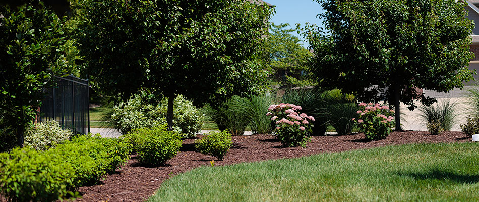 Landscape bed maintained in Blair, NE.