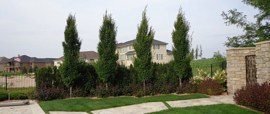A landscape bed with bushes and tall trees surrounding a home in Ashland, NE. 