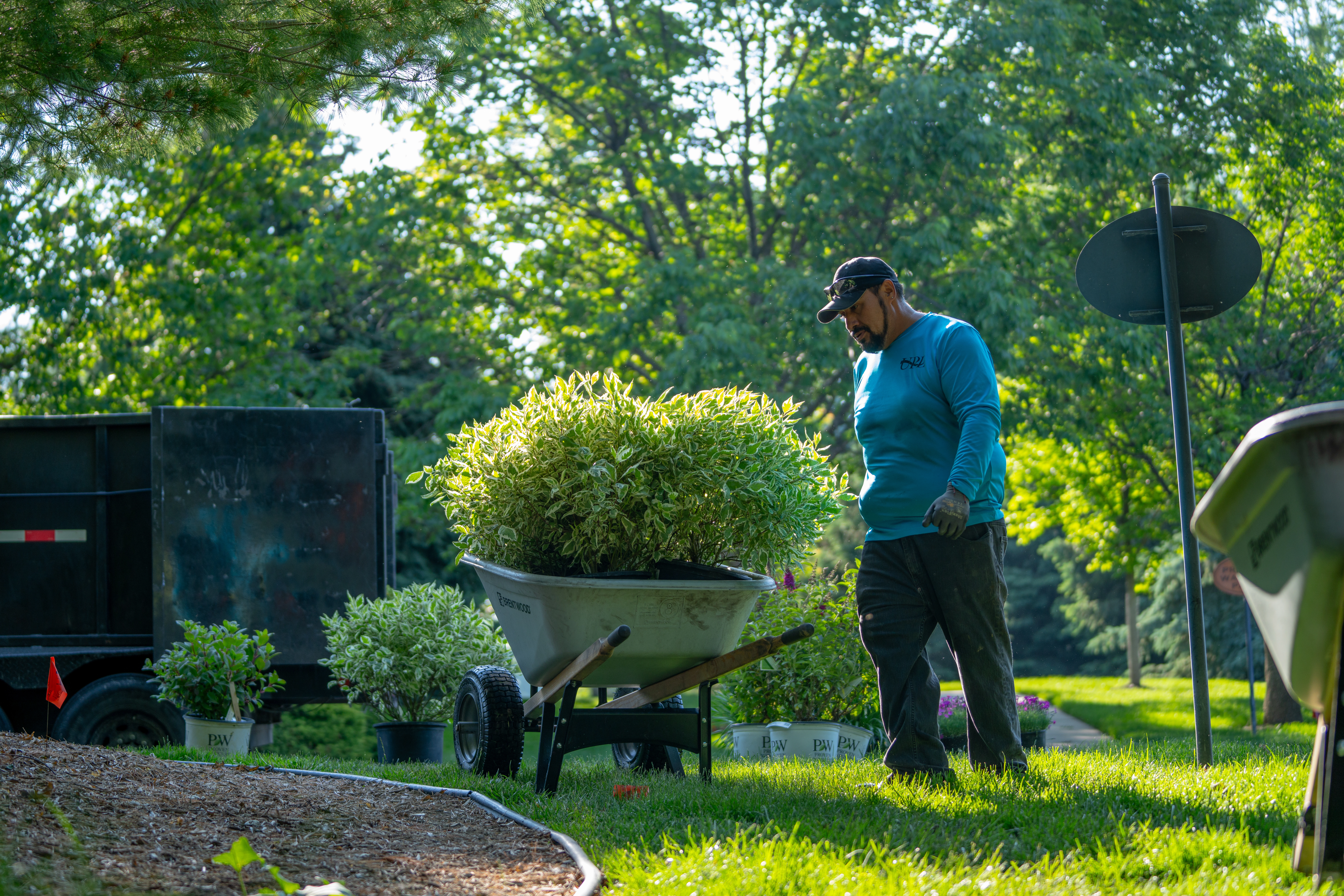 Fall Cleanup Landscaping Services: What to Expect and Why It Matters