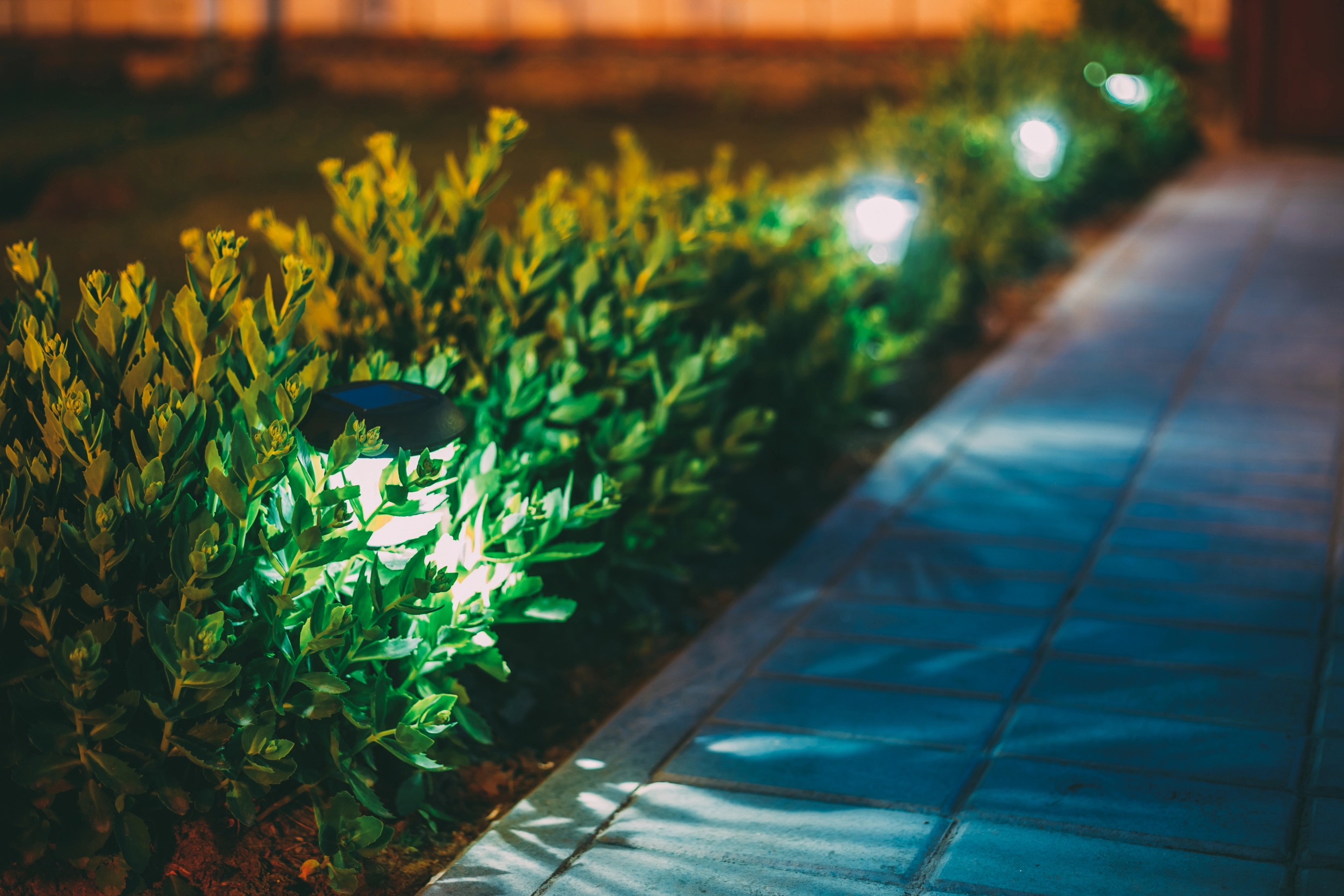 How to Design Landscape Lighting